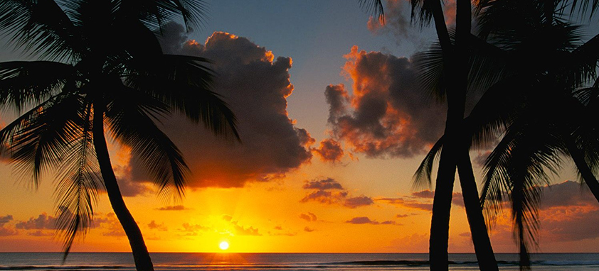 This is an example of a caption 兼容性超强的云呼官网